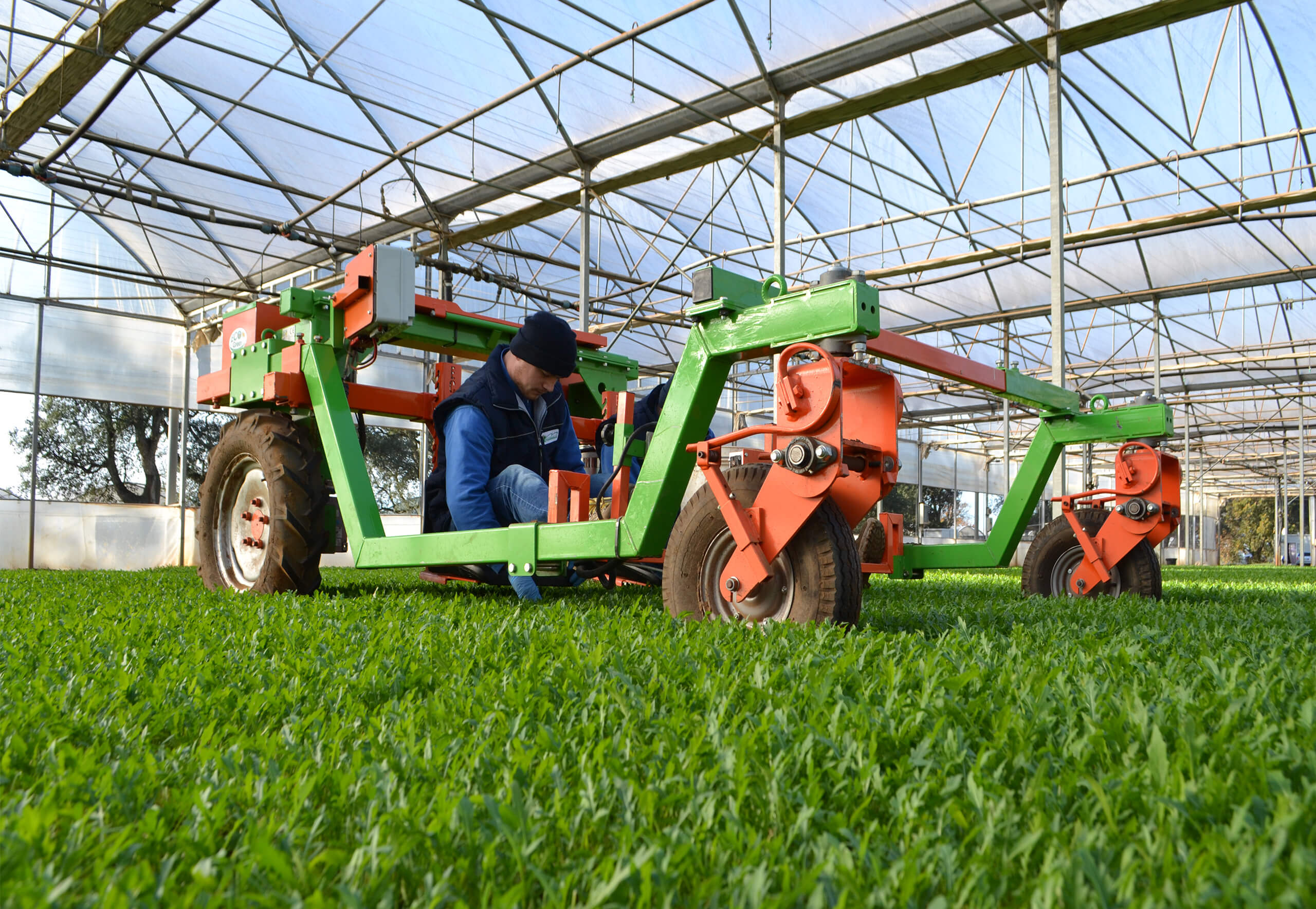 Sustainability and respect for the environment at Pontinatura