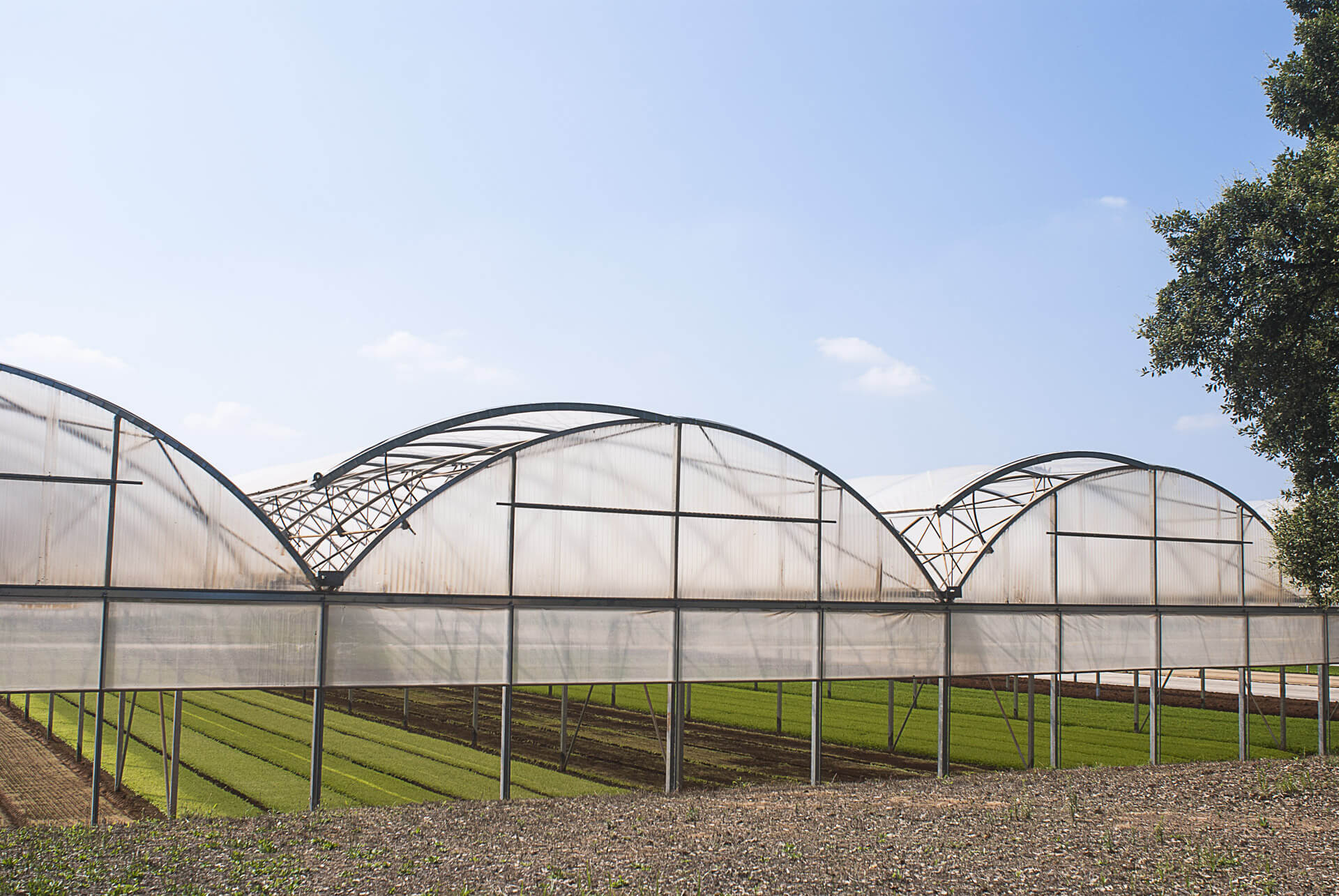 Pontinatura greenhouses and facilities