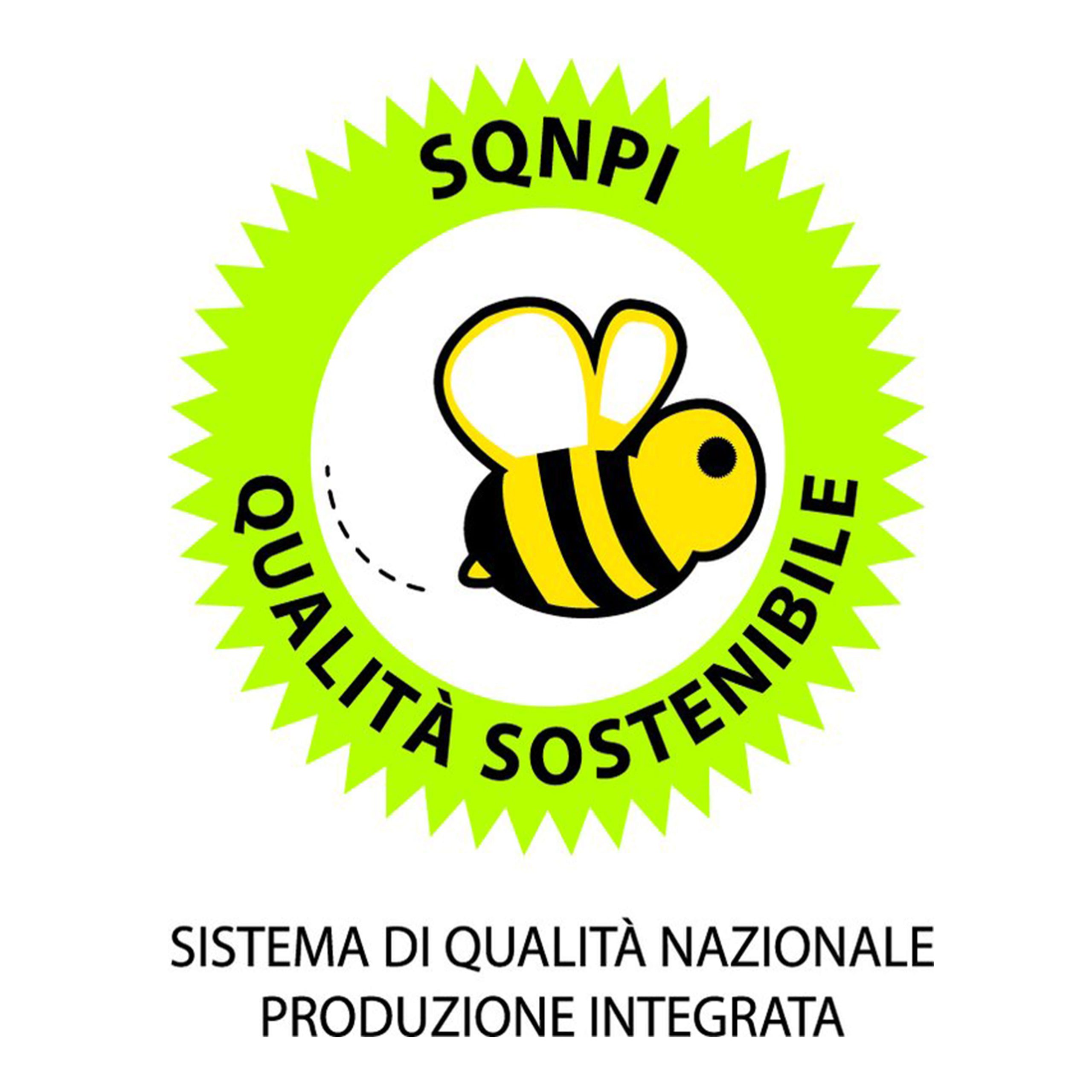 Integrated Production