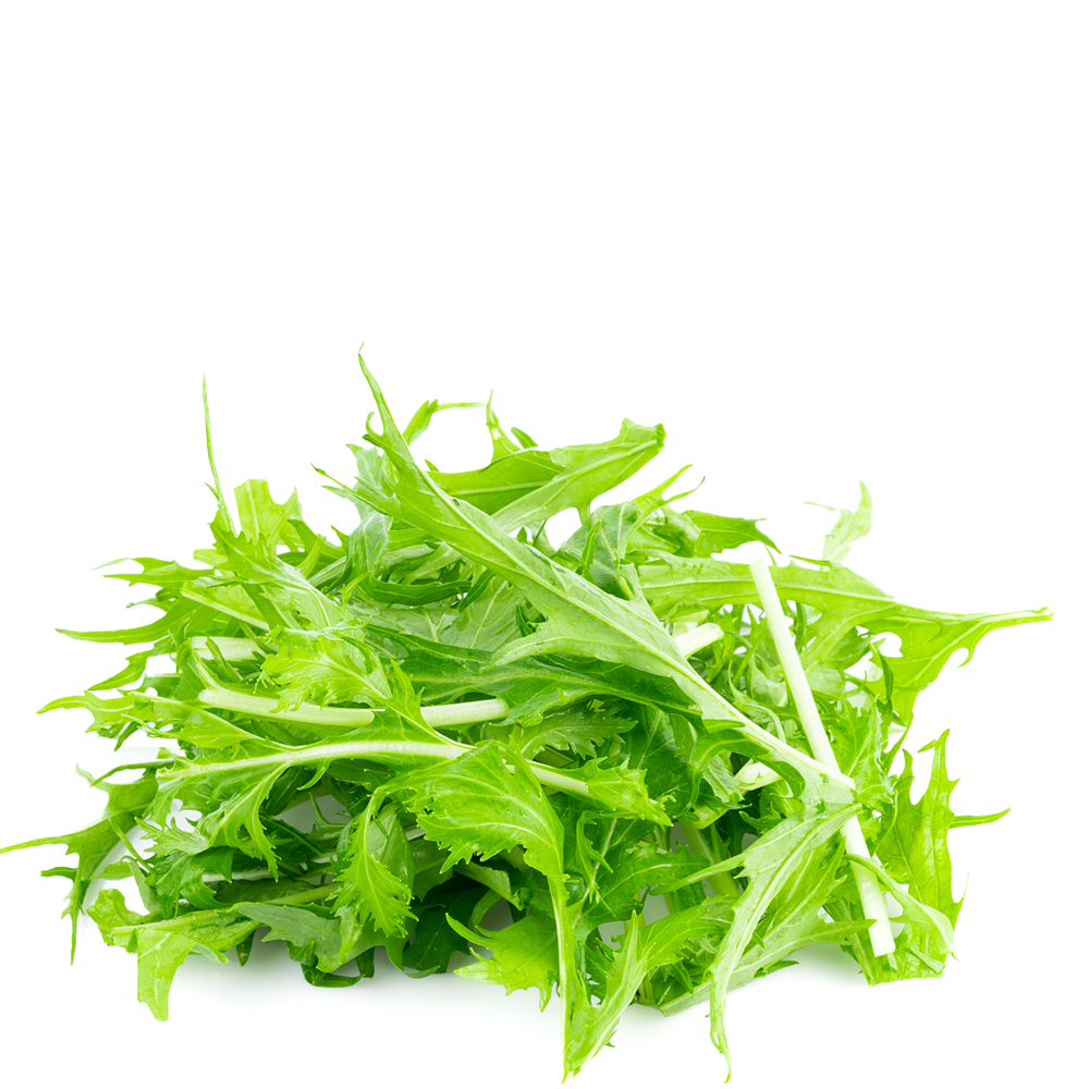 Green Mizuna