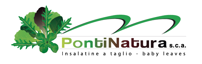 Pontinatura logo