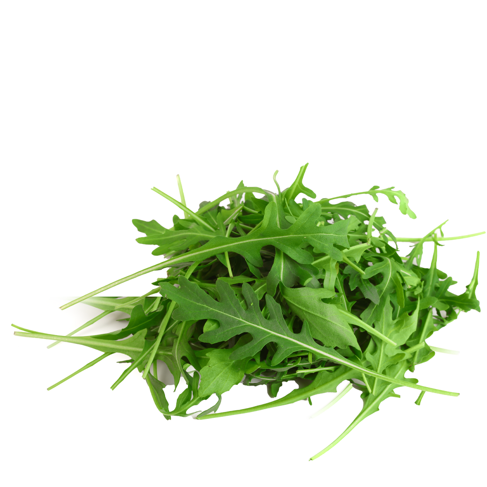 Wild Rocket