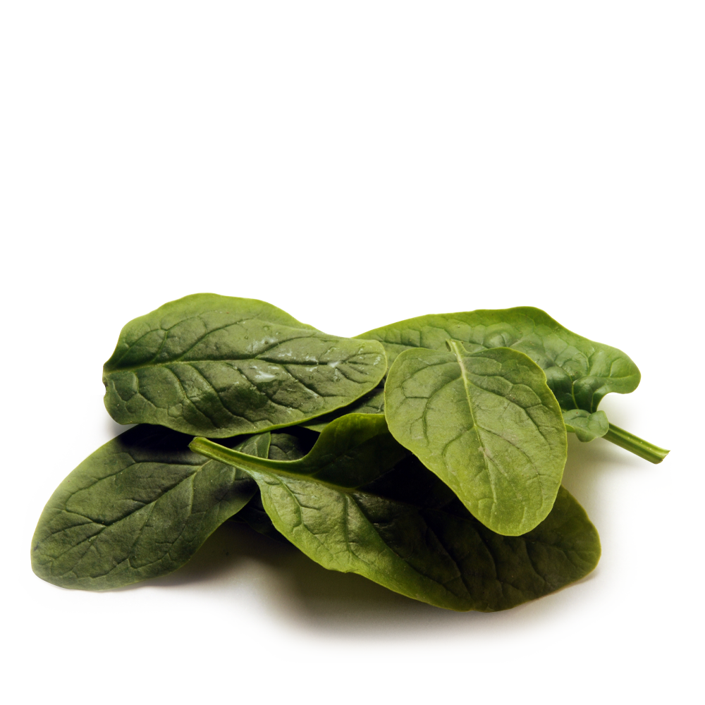 Baby Spinach